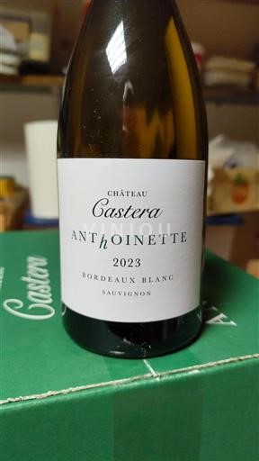 Bordeaux Bordeaux Weißwein Domaine Castera Anthoine 2023