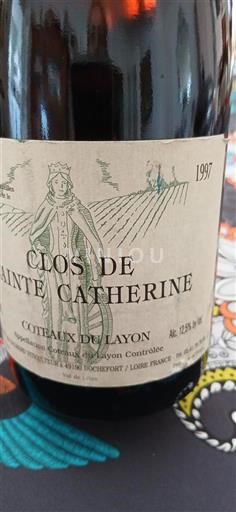 Vallée de la Loire Coteaux-du-layon Château Rochefort Clos de Sainte Catherine 1997