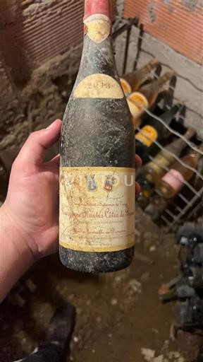 Burgundija Hautes Côtes de Beaune Domaine Saint Saturnin De Vergy 2013