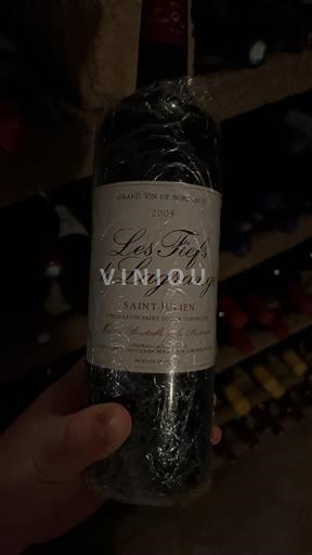 Bordeaux Saint-Julien La Grange Les Fiefs de Lagrange 2005