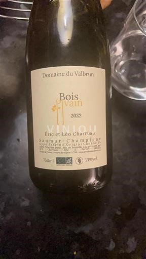 Loirevallei Saumur-champigny Domaine Valbrun Bois Juvain 2022