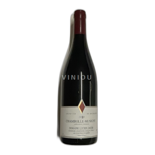 Borgoña Chambolle-Musigny Domaine Lucien Jacob 2020