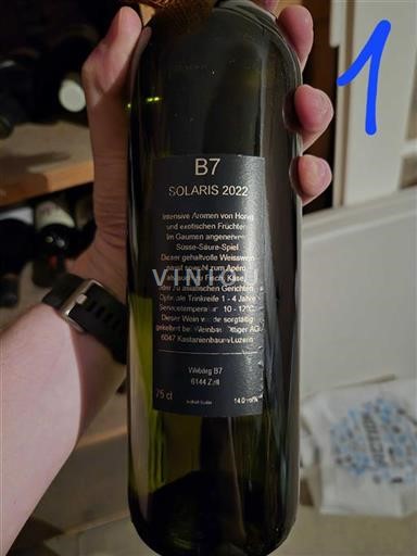 Lucerna Non specificato Weingut B7 Solaris 2022