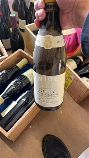 Bourgondië Niet gespecificeerd Premier Cru André Delorme Gr%c3%a9signy 2014