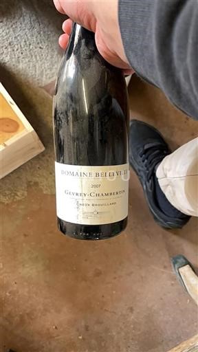 Burgundija Gevrey-chambertin Premier Cru Domaine Belleville Creux Brouillard 2007