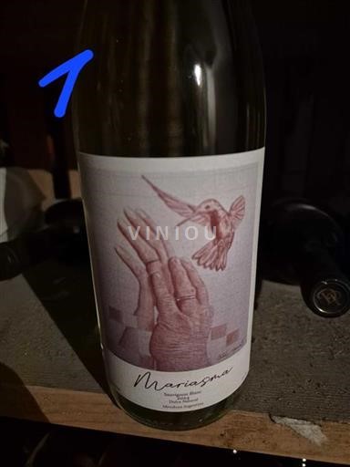 Mendoza Ikke specificeret Mariasma 2024