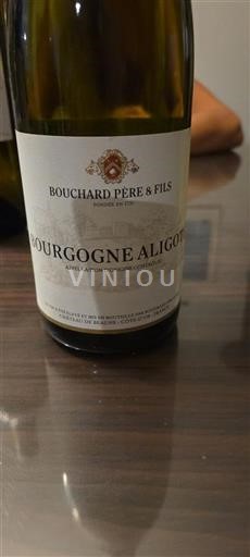 Bourgondië Bourgogne Aligoté Bouchard Père & Fils Niet-geïntegreerd