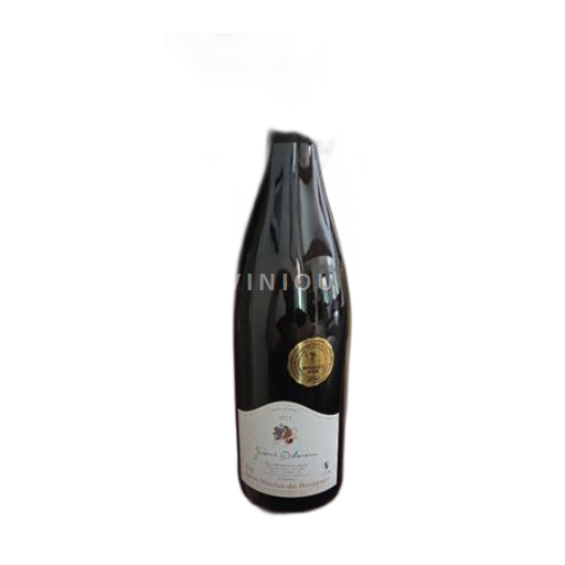 Valle della Loira Saint-Nicolas-De-Bourgueil Jérôme Delanoue 2023
