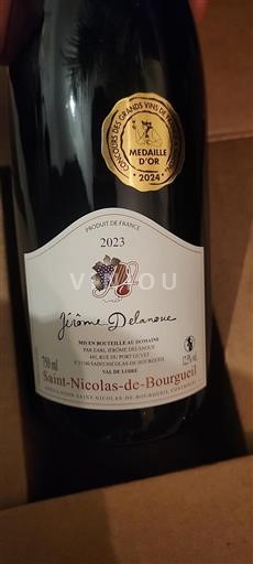 Wines Rouge sec Jérôme Delanoue 2023 France Loire Valley Saint-Nicolas-De-Bourgueil AOC