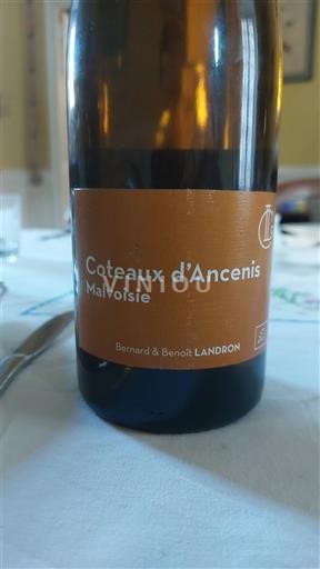 Thung lũng sông Loire Coteaux-d'ancenis Bernard & Benoît Landron Malvoisie 2020