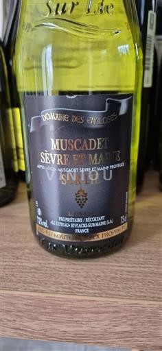 Loiredalen Muscadet-Sèvre-et-Maine Domaine Des Enclos 2023