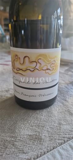 Údolí Loiry Nespecifikováno Jeanfrançois Mérieau L'Arpent des Vaudons 2023