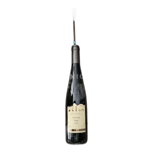 Alsácia Não especificado Bruno Hertz Pinot noir 2010