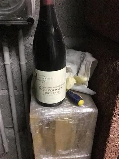 Bourgogne Domaine Roger & Pascal Bouley 2013
