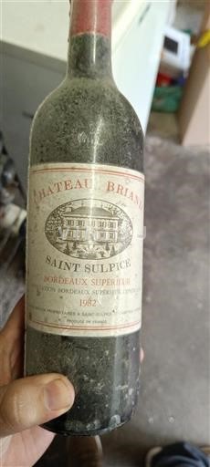 Bordéus Bordeaux Superior Château Briand 1982