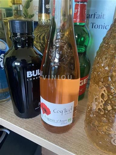 Údolí Loiry Cabernet d'Anjou Capricci 2022