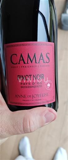 Vin Rouge sec Camas Anne de Joyeuse 2023 France Languedoc et Roussillon Pays d'oc IGP