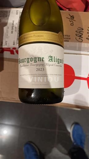 Borgoña Borgoña-Aligoté Augustin Florent 2023