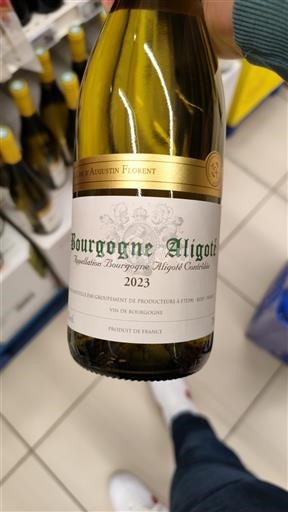 Bourgogne Bourgogne-aligoté Augustin Florent 2023