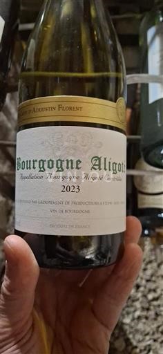 Bourgogne Bourgogne-aligoté Augustin Florent 2023