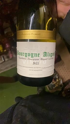 Bourgogne Bourgogne-aligoté Augustin Florent 2023
