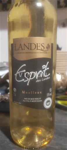 Vin Blanc moelleux Esprit des Landes Non millésimé France Aquitaine et Charentes Landes IGP