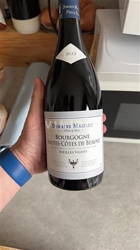 Borgogna Hautes Côtes de Beaune Grand Cru Domaine Mazilly Père & Fils Vieilles Vignes 2023