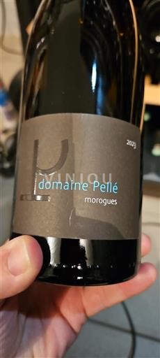 Loiretal Menetou-Salon Domaine Pellé Morogues 2023
