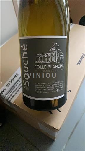 Loire Valley Not Specified Souché Folle Blanche Vieilles Vignes 2024