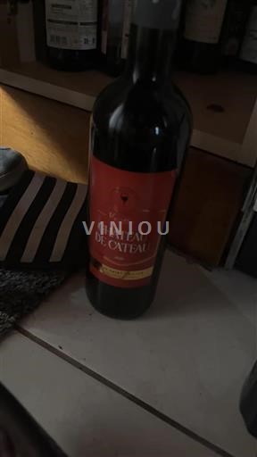Sudoeste Cahors Château Cayx 2020