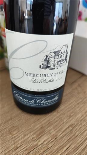 Burgundi Määrittelemätön Premier Cru Château Chamirey Les Puillets 2020