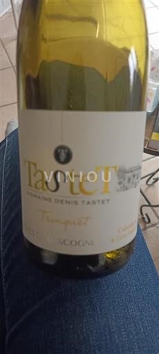 Sud-Ovest Côtes de Gascogne Domaine Denis Tastet Trinquet Senza annata