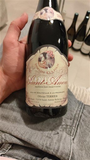 Beaujolais Saint-Amour Domaine A La Folie 2023