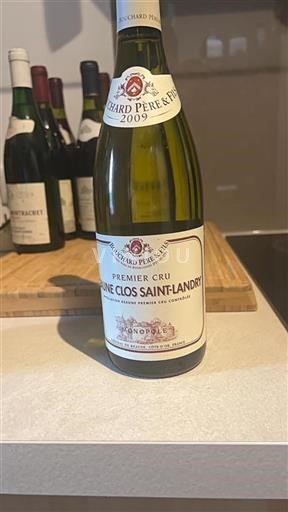 Burgundi Määrittelemätön Premier Cru Bouchard Père & Fils Clos Saint-Landry 2009