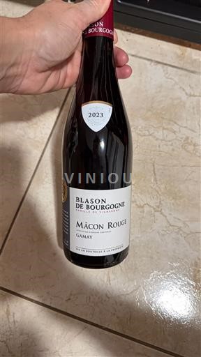 Burgundi Mâcon ja Mâcon-kylät Blason De Bourgogne 2023