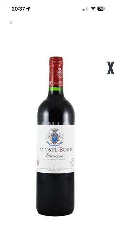 Bordeaux Pauillac Lacosteborie 2021