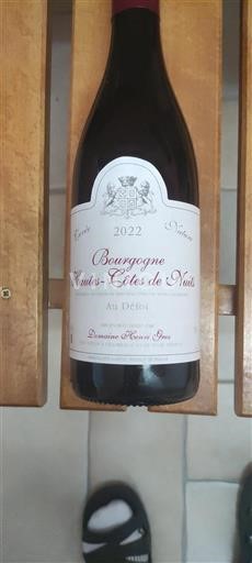 Borgonha Hautes Côtes de Nuits Grand Cru Domaine Henri Gros Au Défoi 2022