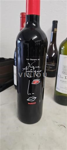 Bordeaux Ospecificerad Les Cèpages De Vigne Antique Icke årgångsbetecknad