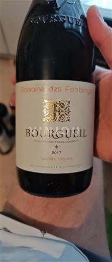 Thung lũng sông Loire Bourgueil Domaine Des Fontenys Vieilles Vignes 2017