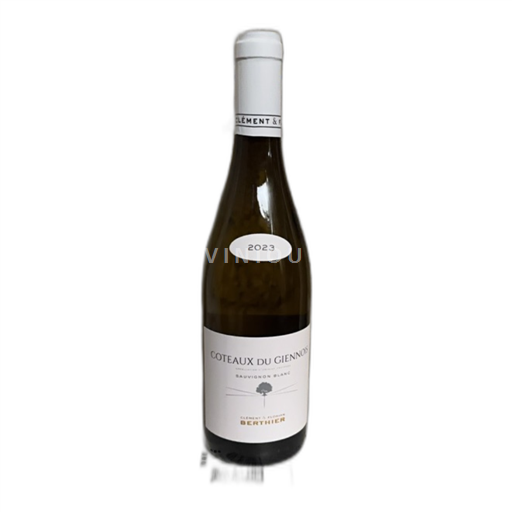 Údolí Loiry Coteaux du Giennois Clément & Florian Berthier Sauvignon Blanc 2023