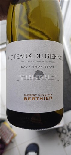 Valle della Loira Coteaux-du-giennois Clément & Florian Berthier Sauvignon Blanc 2023