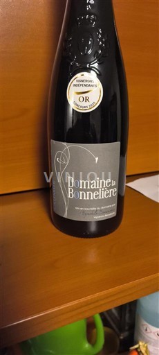Loirevallei Saumur-champigny Château La Bonnelière Niet-geïntegreerd