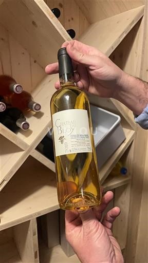 Zuidwest-Frankrijk Côtes-de-montravel Château Bloy 2019