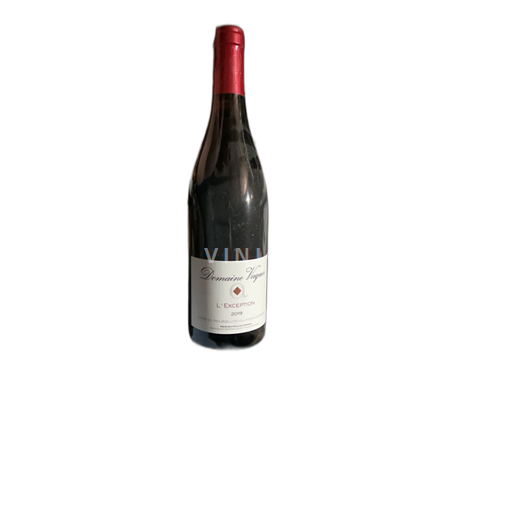 Roussillon Côtes-du-Roussillon-Villages Domaine Vaquer L'Exception 2019