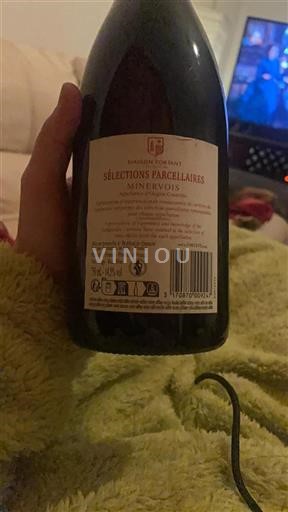 Languedoc Minervois Maison Fortant Sélections Parcellaires Ei vuosikertaa