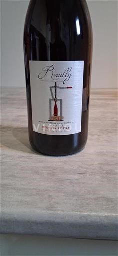Valle della Loira Reuilly Domaine Beurdin Et Fils 2023