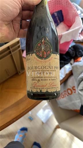 Burgundija Bernard Louis 1989