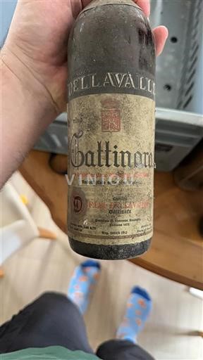 Toscana Không được chỉ định Fattoria Del Colle Butimoro 1970