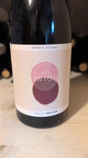 Alsace Pinot noir Sophie Schaal Non Millésimé