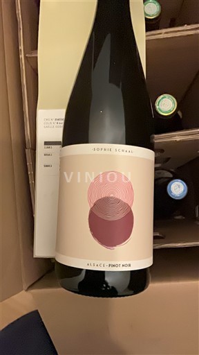 Alsace Pinot noir Sophie Schaal Non Millésimé